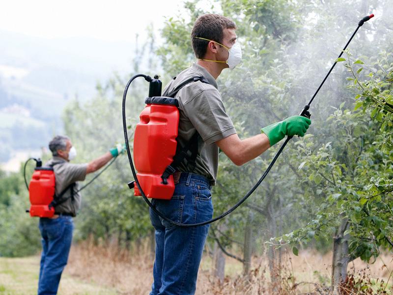 pesticidas_eternos_ampliacion