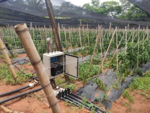 Avanzan los trabajos de instalación de sistema de riego con sensores inteligentes en el marco del Proyecto Agricultura 4.0