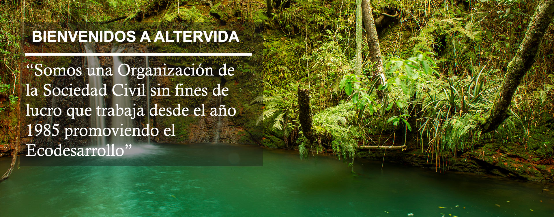 altervida-imagen